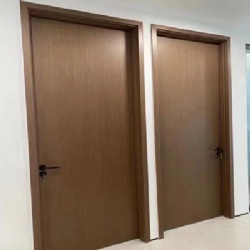 Solid Core or Hollow Core Wood Veneer Surface Interior Wood Door