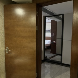 Bathroom Veneer Stained Wooden Door